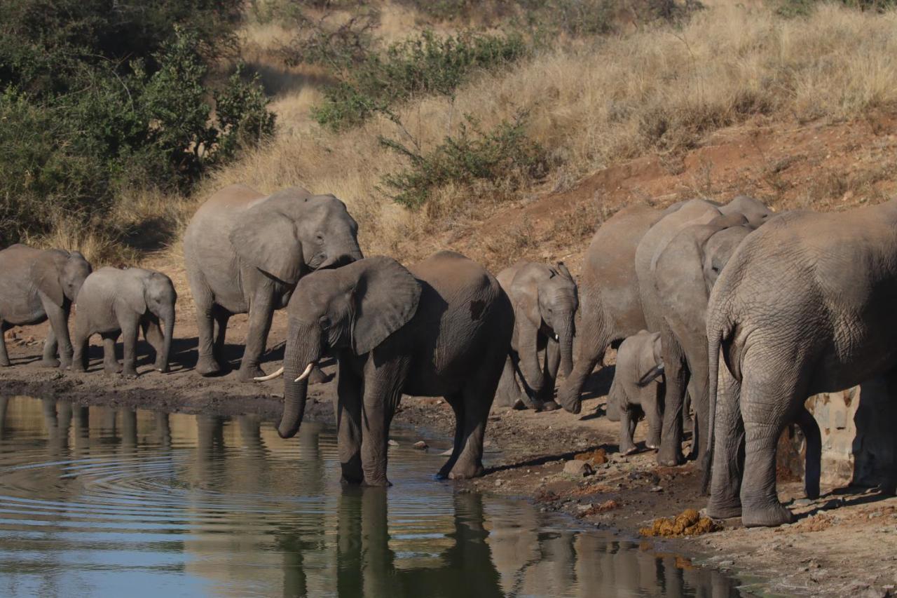 Ku Sungula Safari Lodge Balule Természetvédelmi Rezervátum Kültér fotó