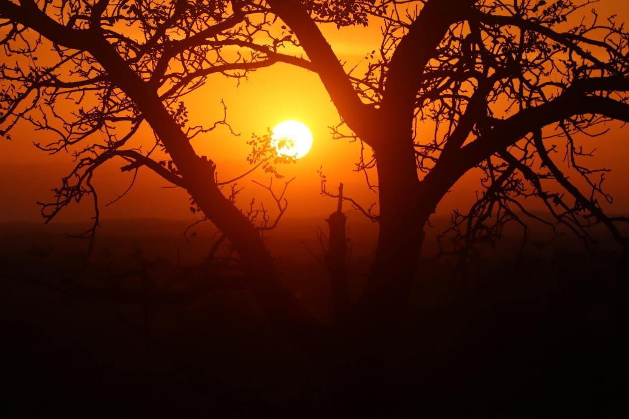 Ku Sungula Safari Lodge Balule Természetvédelmi Rezervátum Kültér fotó