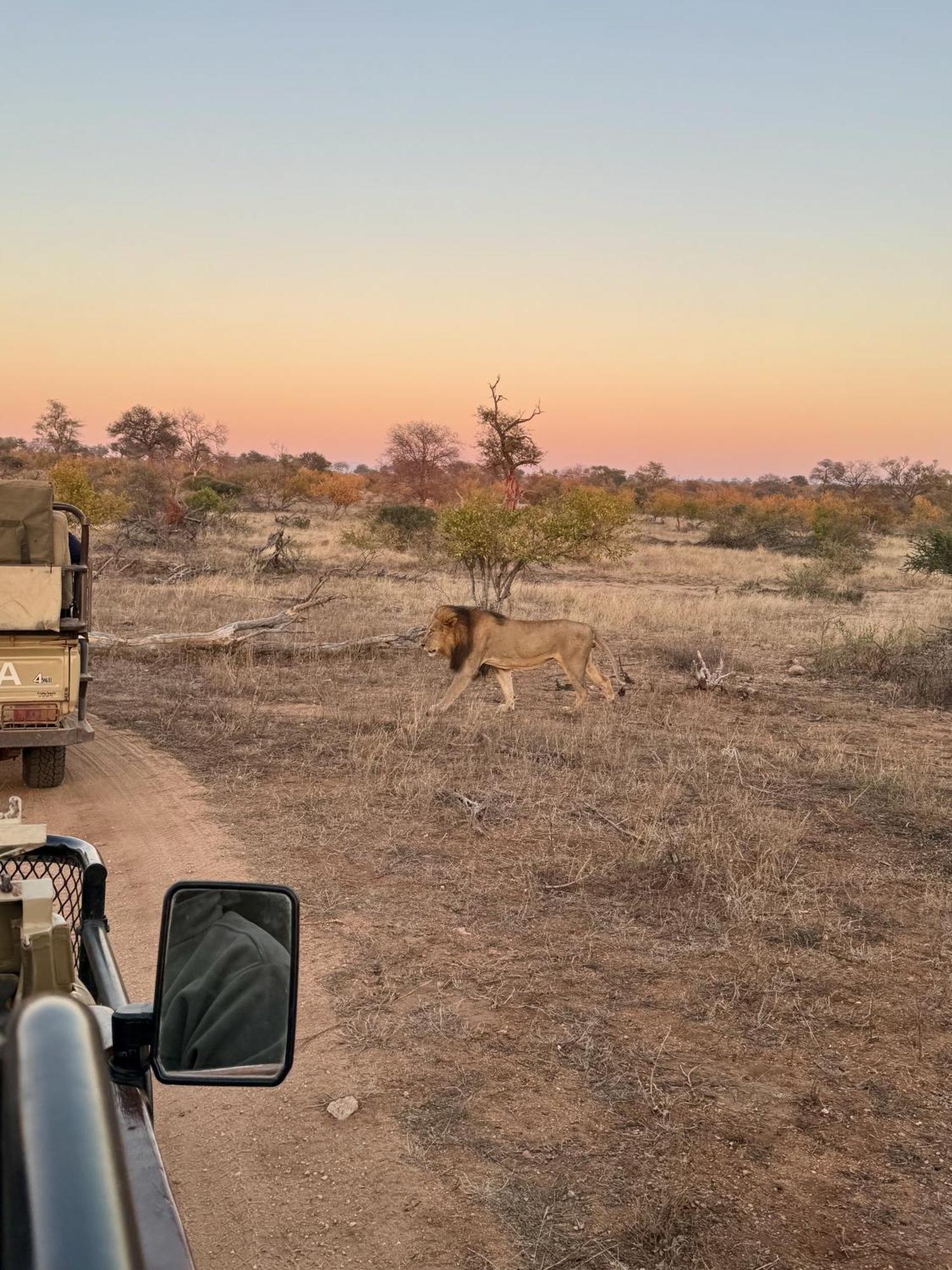 Ku Sungula Safari Lodge Balule Természetvédelmi Rezervátum Kültér fotó