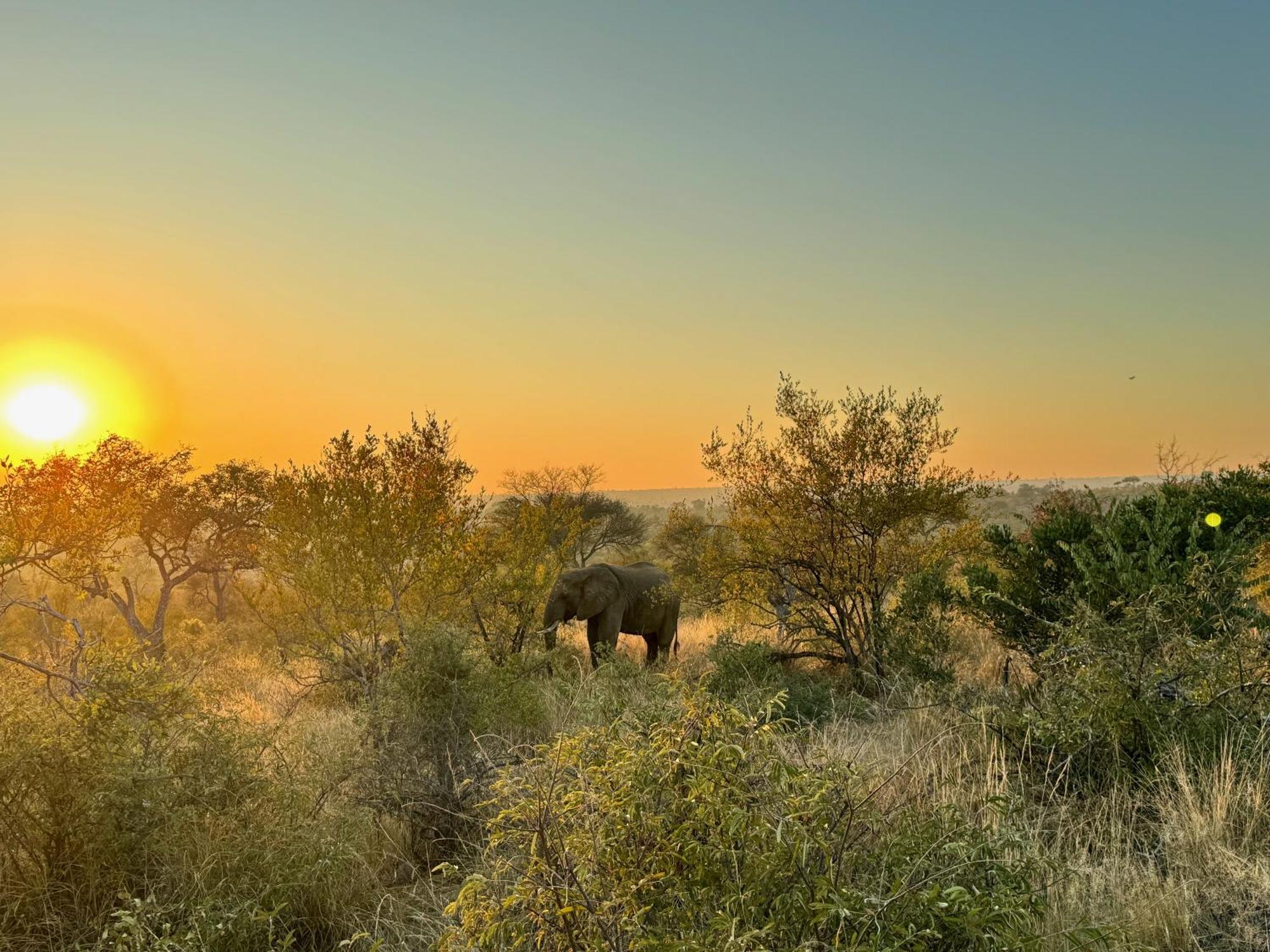 Ku Sungula Safari Lodge Balule Természetvédelmi Rezervátum Kültér fotó