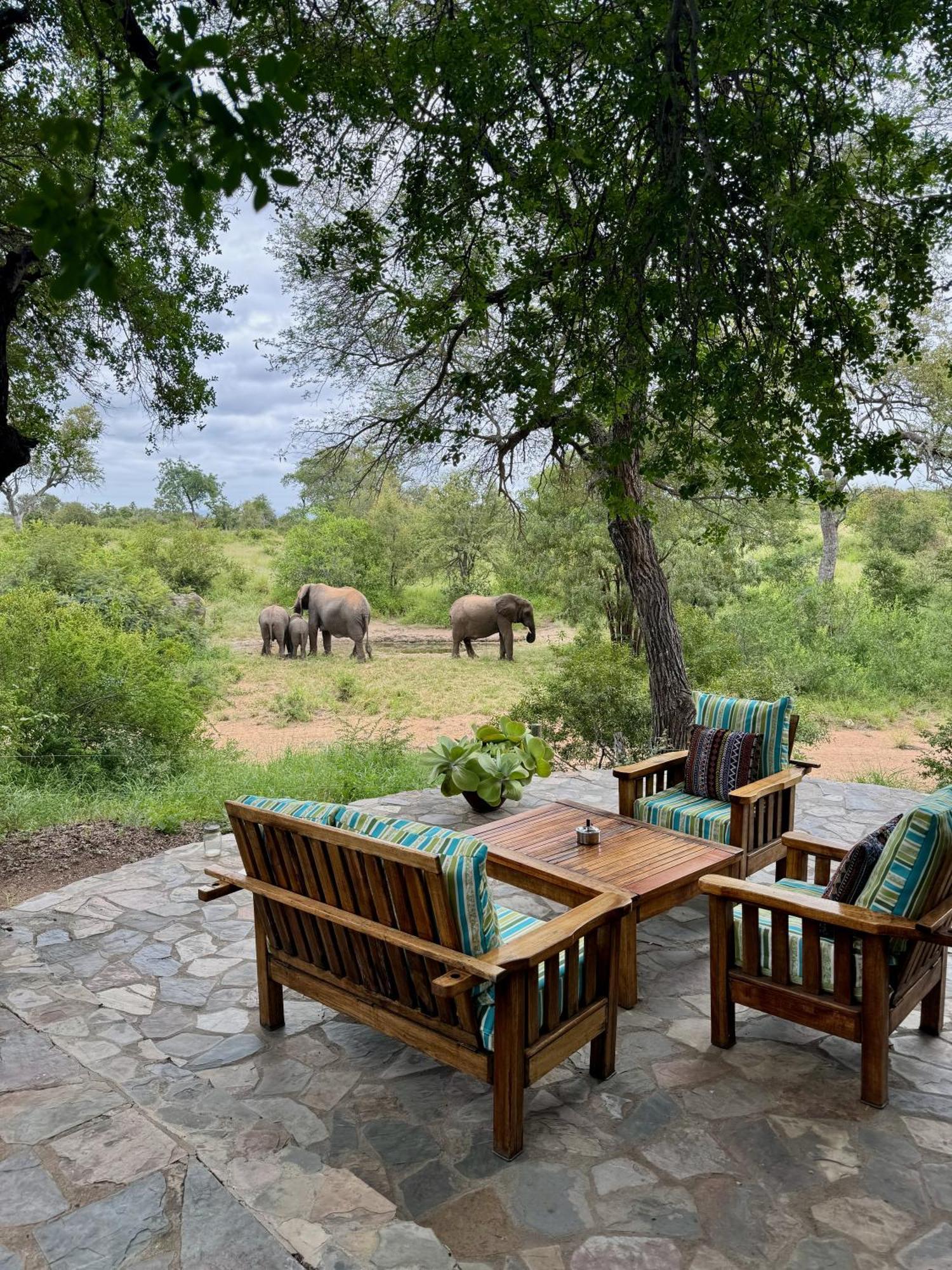 Ku Sungula Safari Lodge Balule Természetvédelmi Rezervátum Kültér fotó