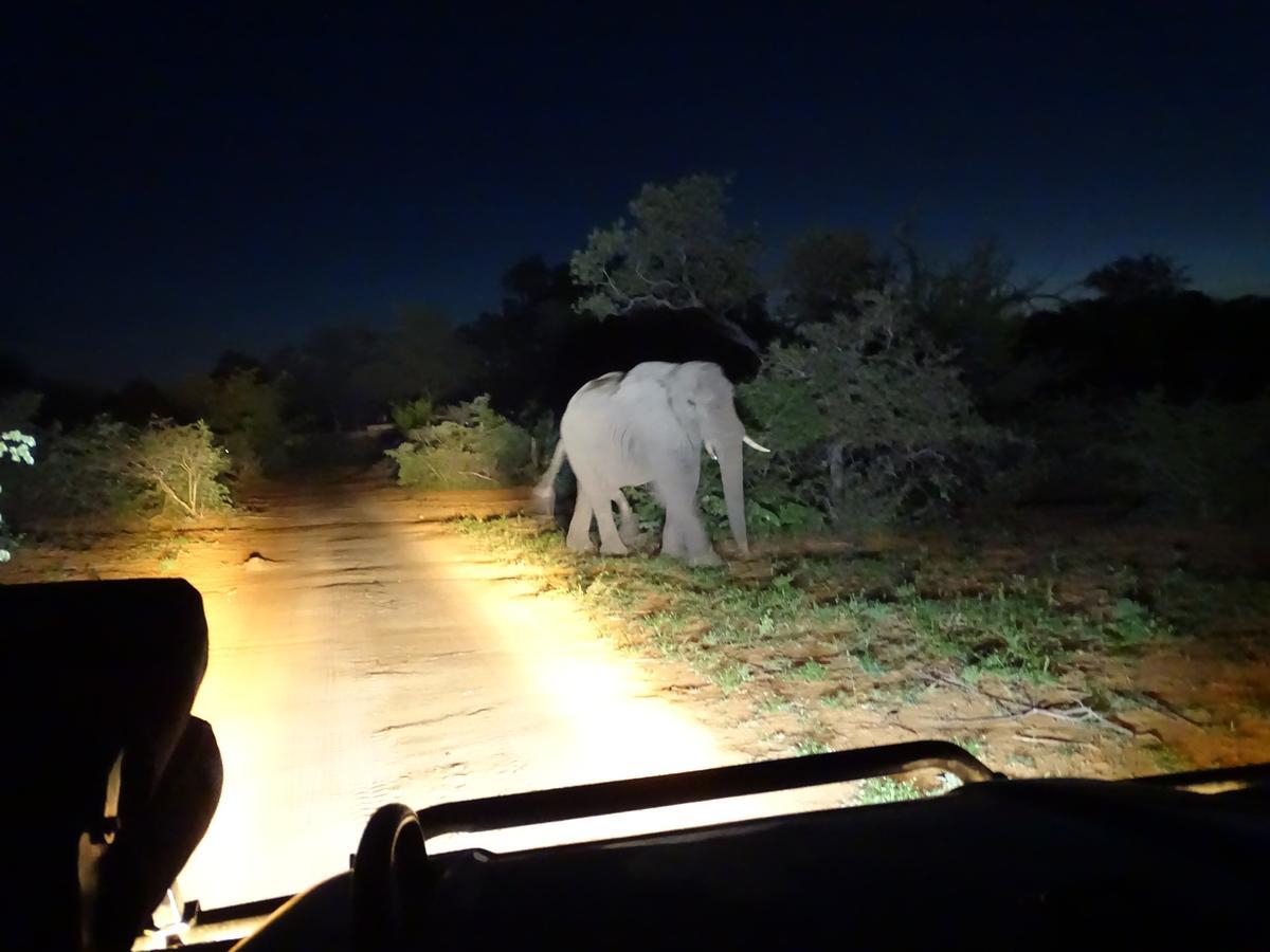 Ku Sungula Safari Lodge Balule Természetvédelmi Rezervátum Kültér fotó