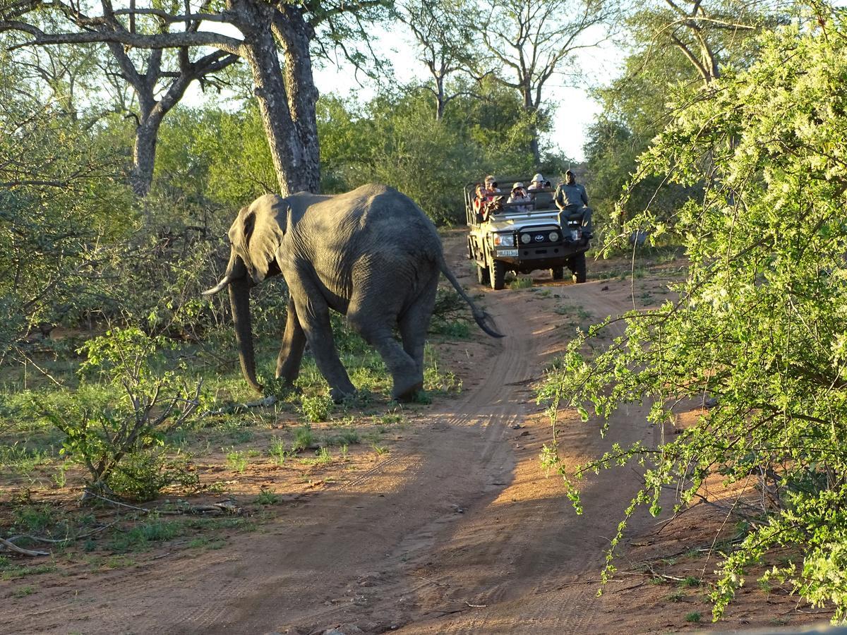 Ku Sungula Safari Lodge Balule Természetvédelmi Rezervátum Kültér fotó