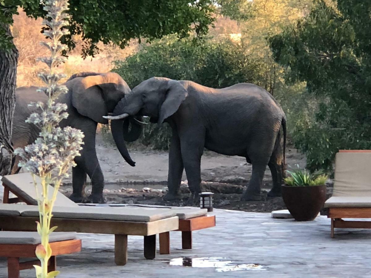 Ku Sungula Safari Lodge Balule Természetvédelmi Rezervátum Kültér fotó